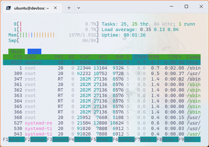 Run htop